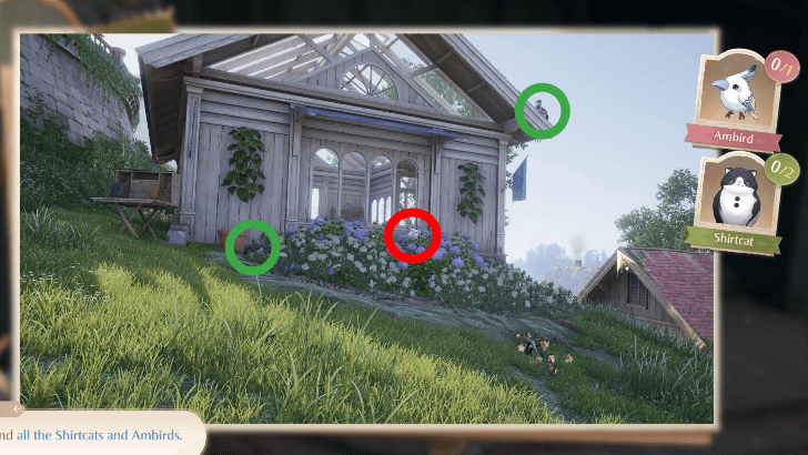 Photo Investigation Animal Trail - Photo 1