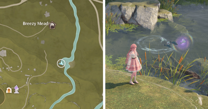 Whimstar Breezy Meadows 39