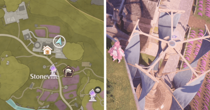 Whimstar Stoneville 17