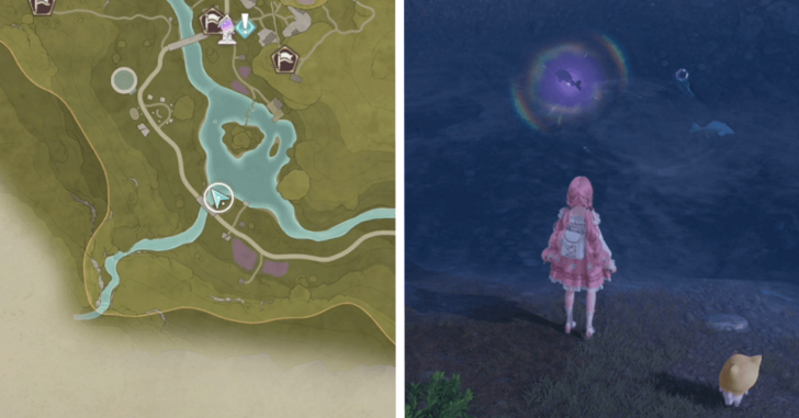 Whimstar Stoneville 15