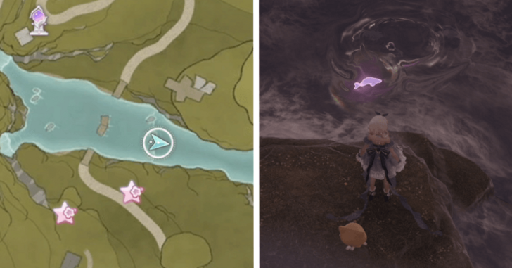 Whimstar Stoneville 24