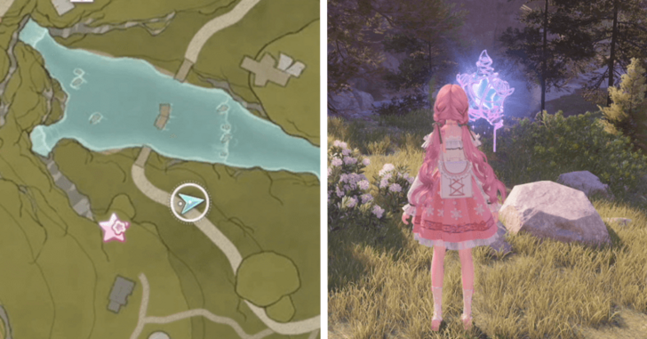 Whimstar Stoneville 23