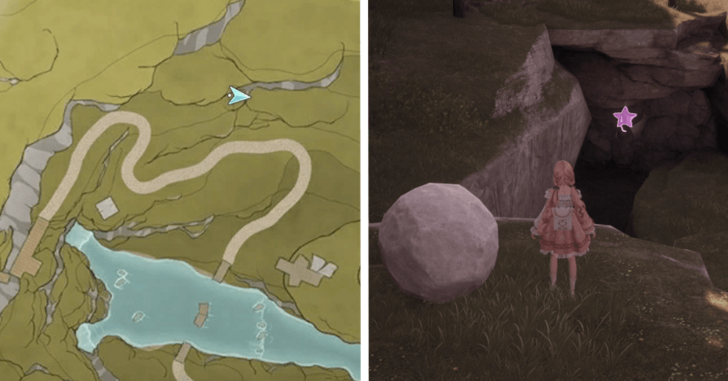 Whimstar Stoneville 22