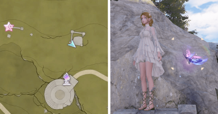 Whimstar Florawish 40