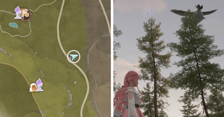 Whimstar Breezy Meadows 54