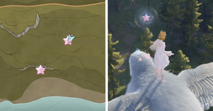 Whimstar Florawish 46