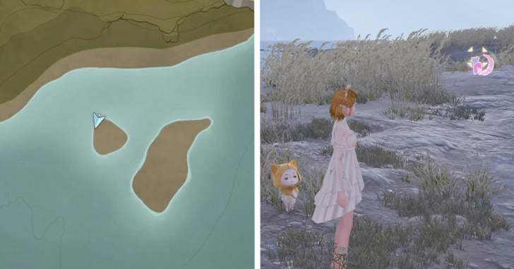 Whimstar Florawish 47