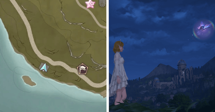 Whimstar Florawish 49