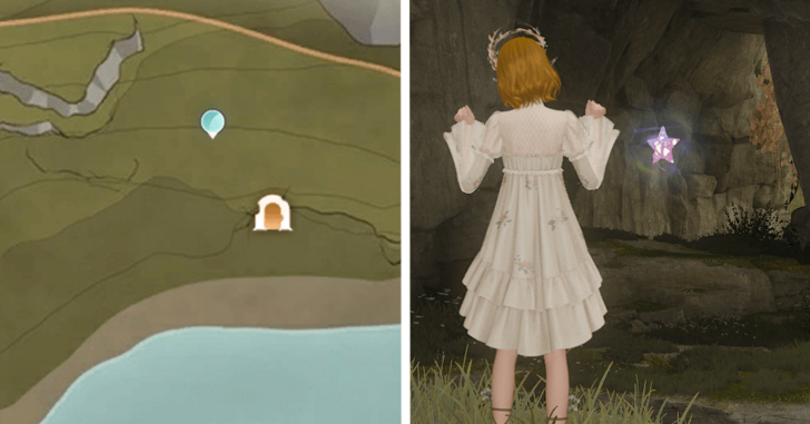 Whimstar Florawish 48