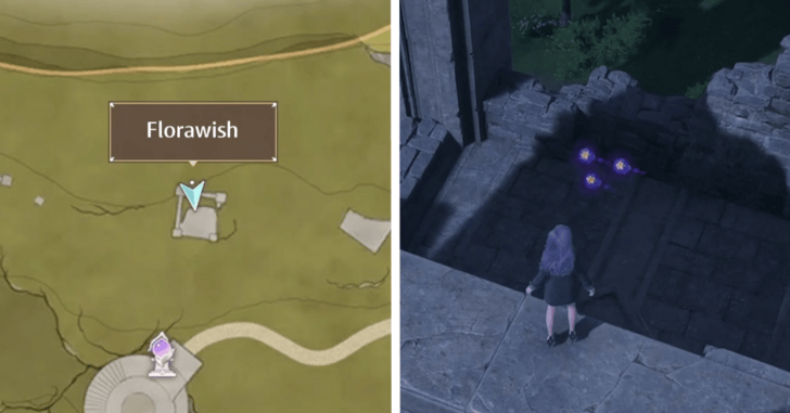 Dew of Inspiration - Florawish - 129-131