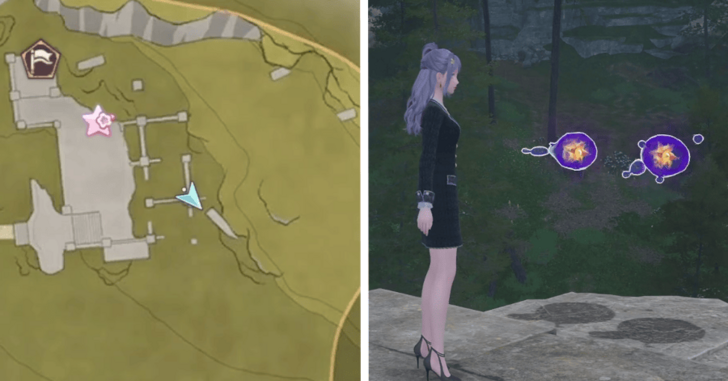 Dew of Inspiration - Florawish - 144-145