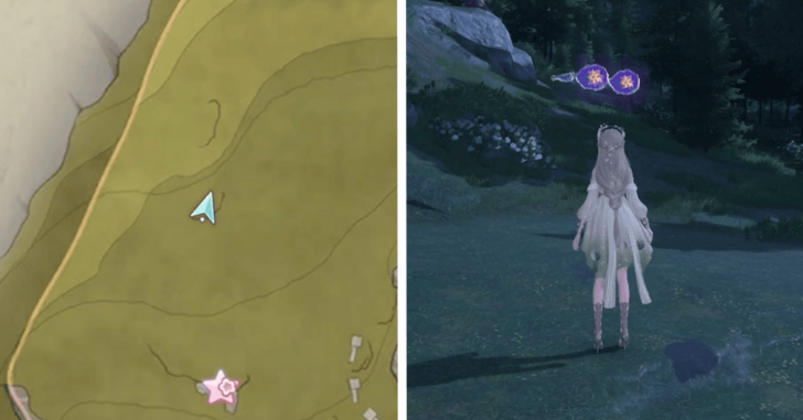 Dew of Inspiration - Florawish - 114-115