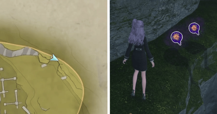 Dew of Inspiration - Florawish - 146-147