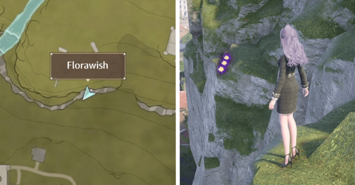 Dew of Inspiration - Florawish - 157-159