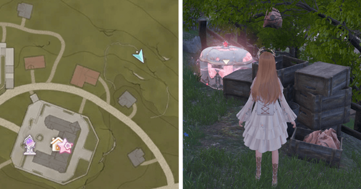 Florawish Treasure Chest 8