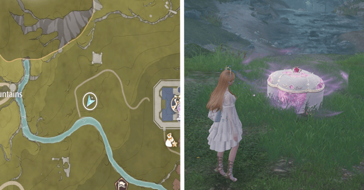 Florawish Treasure Chest 10