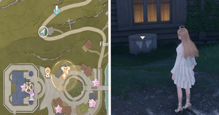 Florawish Treasure 11