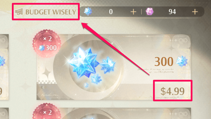 Budget Wisely Notice in Shop