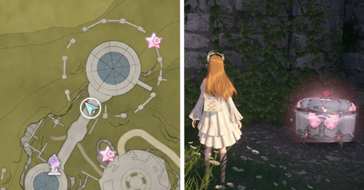 Florawish Treasure Chest 13