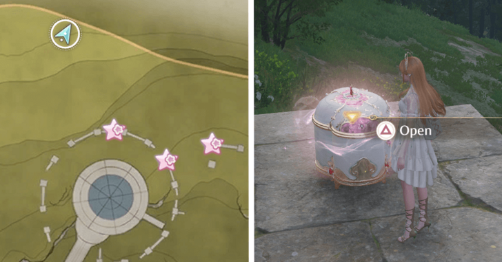 Florawish Treasure Chest 15