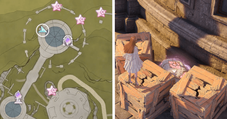 Florawish Treasure Chest 16