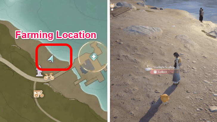 Infinity Nikki Collect Starlight Scallops