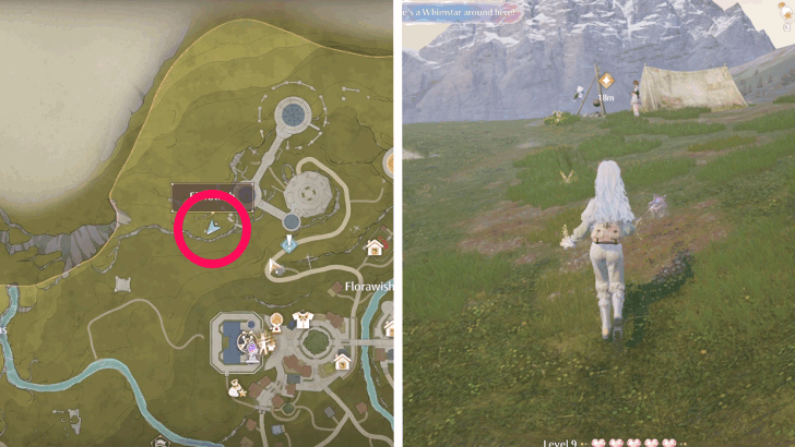 Final Location of the Wish Envoy