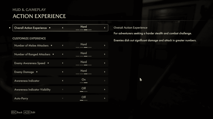Action Experience Custom Settings