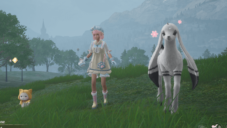 Getting Longstocking Wool