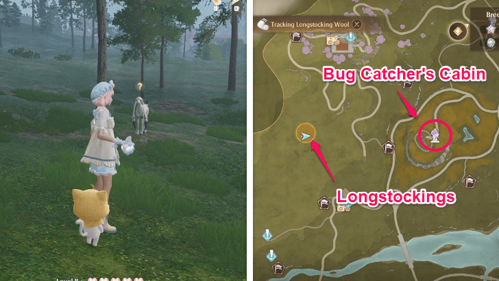 Longstocking Wool Location in Breezy Meadows