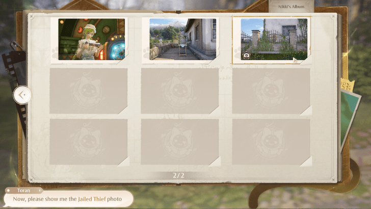 Infinity Nikki - Captured Thief Album.png