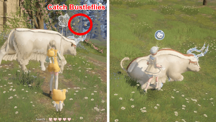 Infinity Nikki Obtain the Bullquet Felt