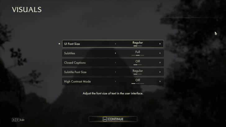 Visuals Settings Upon Starting the Game