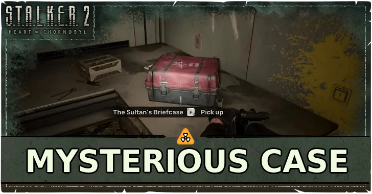 Stalker 2 The Mysterious Case