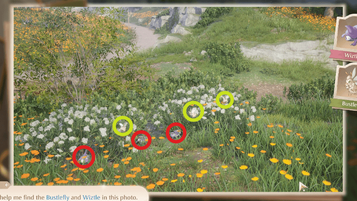 Photo Investigation - Find the Bustlefly and Wiztle