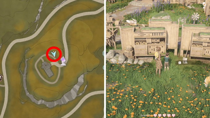 Photo Investigation - Daytime Insects Quest Location