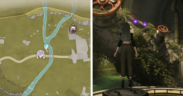 Dew of Inspiration - Florawish - 217-218