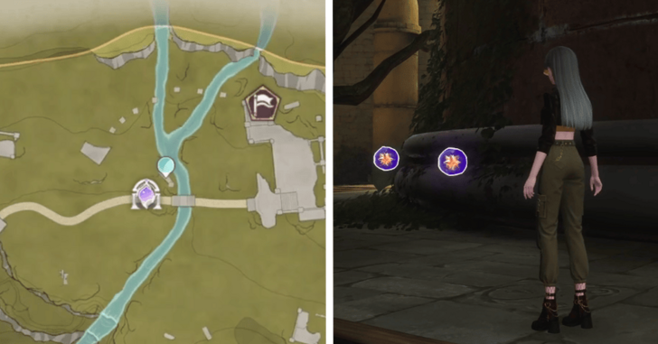 Dew of Inspiration - Florawish - 208-209