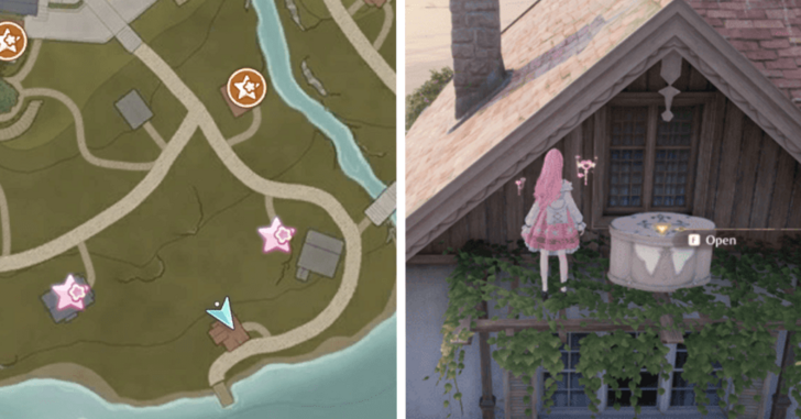 Florawish Treasure Chest 17