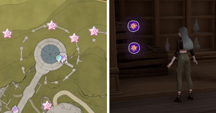 Dew of Inspiration - Florawish - 237-238