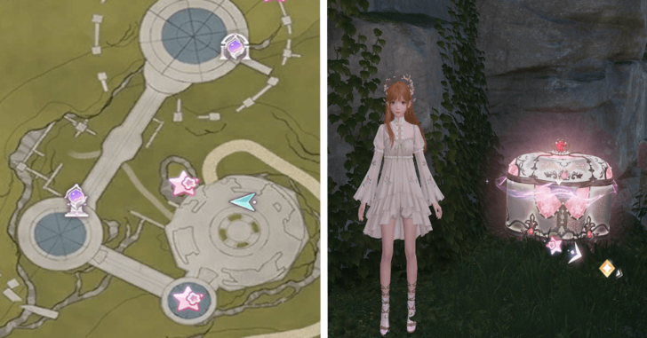 Florawish Treasure Chest 24