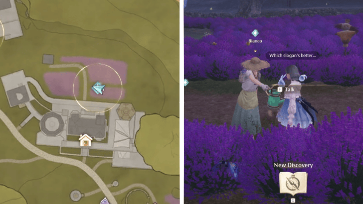 Infinity Nikki Go to the Flower Fields in the Dye Workshop and Find Beatrice