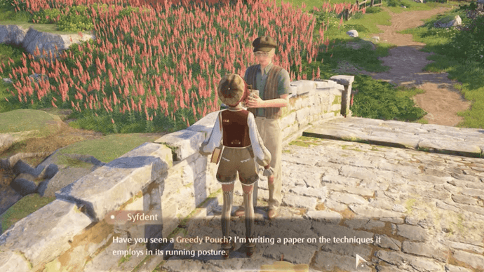 Infinity Nikki - Greedy Pouch Syfdent