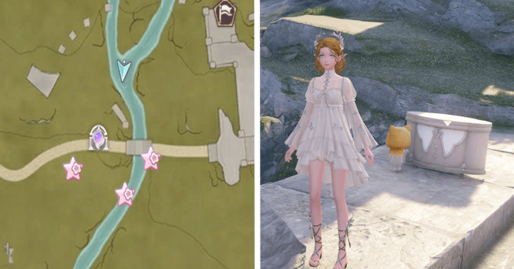 Florawish Treasure Chest 29