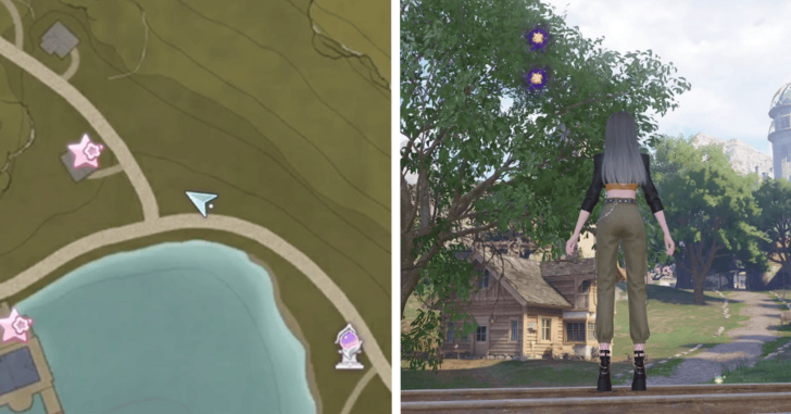 Dew of Inspiration - Florawish - 248-249