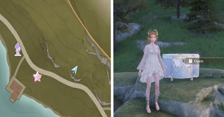 Florawish Treasure Chest 35