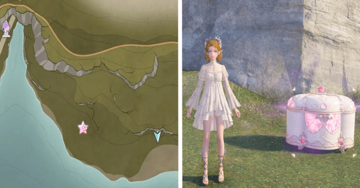 Florawish Treasure Chest 38