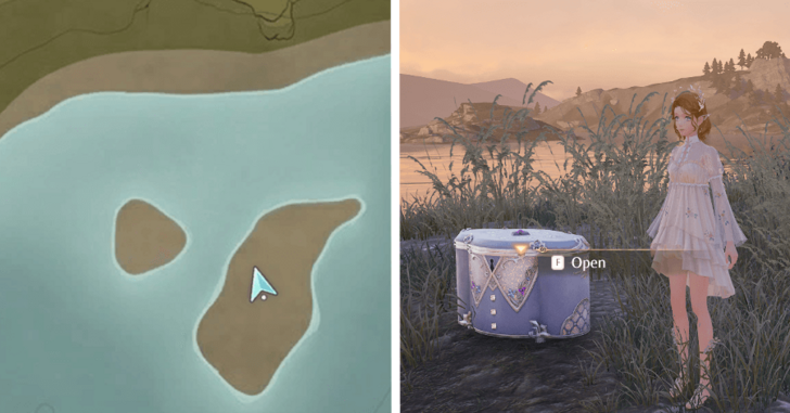 Florawish Treasure Chest 39