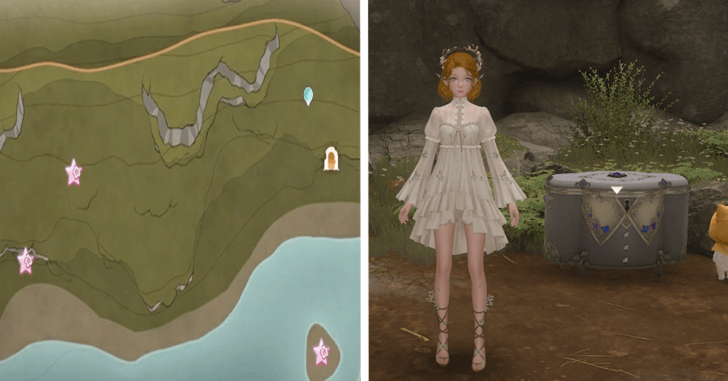 Florawish Treasure Chest 40