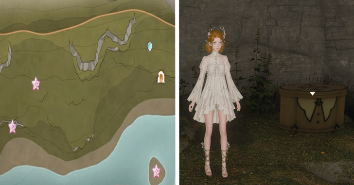 Florawish Treasure Chest 41